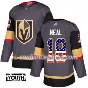 Adidas Maillot de Hockey Vegas Golden Knights James Neal 18 2017-2018 Grau USA Flag Fashion Authentic - Enfant